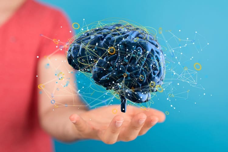 Neuroplasticity, woman's hand with a digital overlay of the human brain hovering above her hand - neuroplasticity